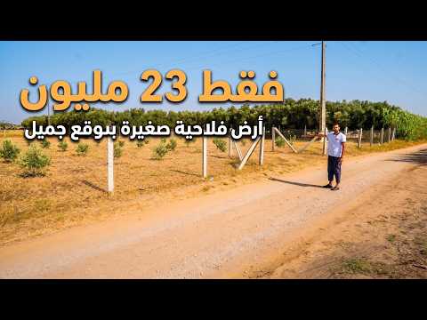 ✨أرض فلاحية صغيرة لعشاق البادية و الفيرمات والعيش بين أحظان الطبيعة ✨تيفلت