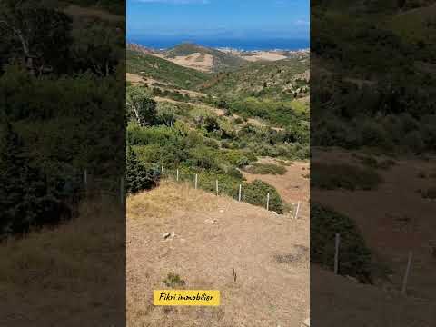 أرض للبيع همزة طنجة نوينويش المساحة 2900 متر محفظة الثمن 1500 درهم إطلالة على البحر مباشرة 🌊 1