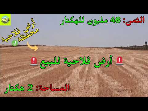 للبيع أرض فلاحية محفظة 2 هكتار بسيدي علال المصدر قرب الخميسات صالحة للسكن والفلاحة 🌿