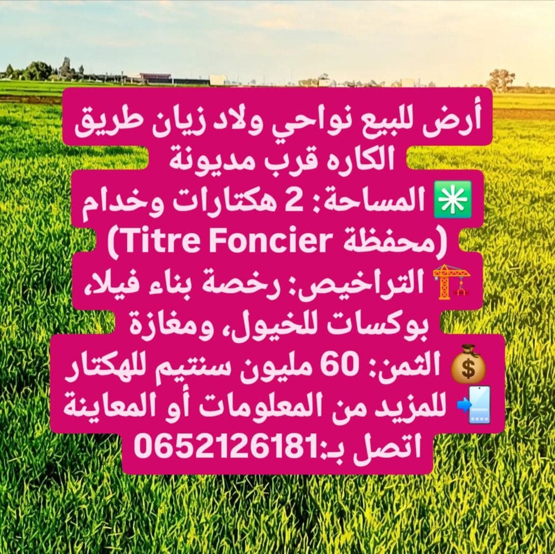 مédiouna · أرض · للبيع 1