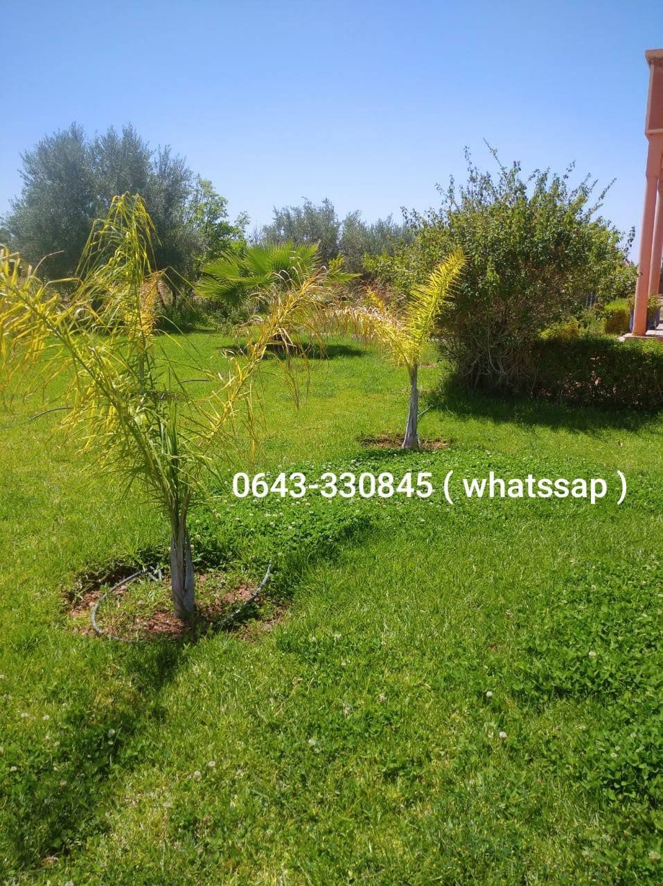 مراكش · مزرعة · للبيع 1