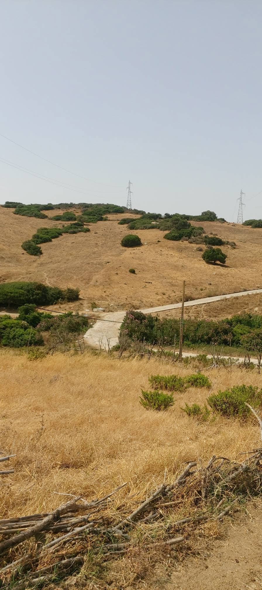 القصر الصغير · Terrain · À vendre 1