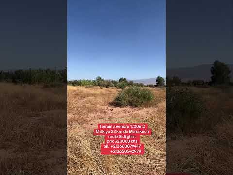 بقعة أرضية للبيع في نواحي مراكش ملكية مساحتها 1700 متر #الجالية_المغربية #عقارات #فيلا 1