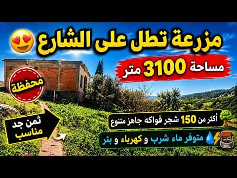 فرمة مع مسكن بناء جديد ferme magnifique sur route 1