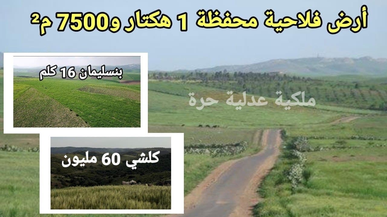 أرض فلاحية بملكية عدلية مساحتها 1 هكتار و 7500 م² بمزارع أولاد يحيى لوطا، إقليم بنسليمان - ثمن ممتاذ 1