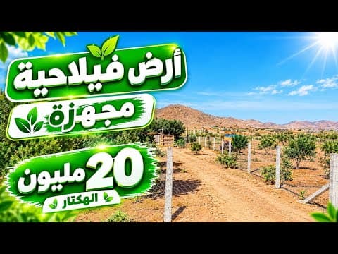 أرض للبيع مجهزة 20 مليون الهكتار فيها كولشي في موقع زوين 1