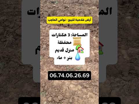 🏡🌿 أرض فلاحية للبيع نواحي الحاجب | 3 هكتارات محفظة + منزل قديم + بئر وماء 1