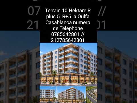 أرض 10 هكتار R زائد 5 أولفا الدار البيضاء 0785642801 // 212785642801 1