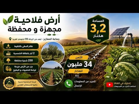 فرصة استثمارية فلاحية بالمعازيز! 3.2 هكتار مجهزة بالكامل + بئرين بالطاقة الشمسية 1