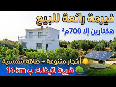 فيرمة للبيع, هكتارين إلا 700م², أشجار متنوعة + منزل + بئر+ سقي بالتنقيط ,قرب تيفلت 14 كم, 270 مليون 1