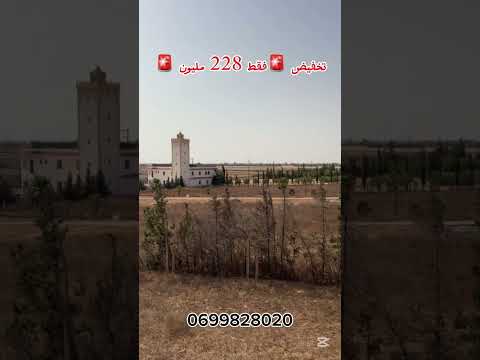 تخفيض 🚨فيرمة مسجلة و محفظة للبيع من نواحي بنسليمان📍🇲🇦 1