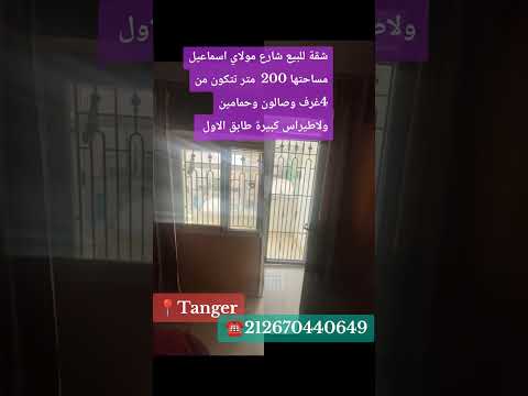 creatorsearchinsights livehighlights tanger عقارات طنجة شعب الصيني ماله حل😂😂 1