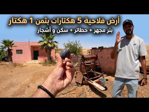 ✨أرض فلاحية 5 هكتارات محفظة مع أشجار الزيتون والحظائر و السكن والبئر ✨تيفلت 1